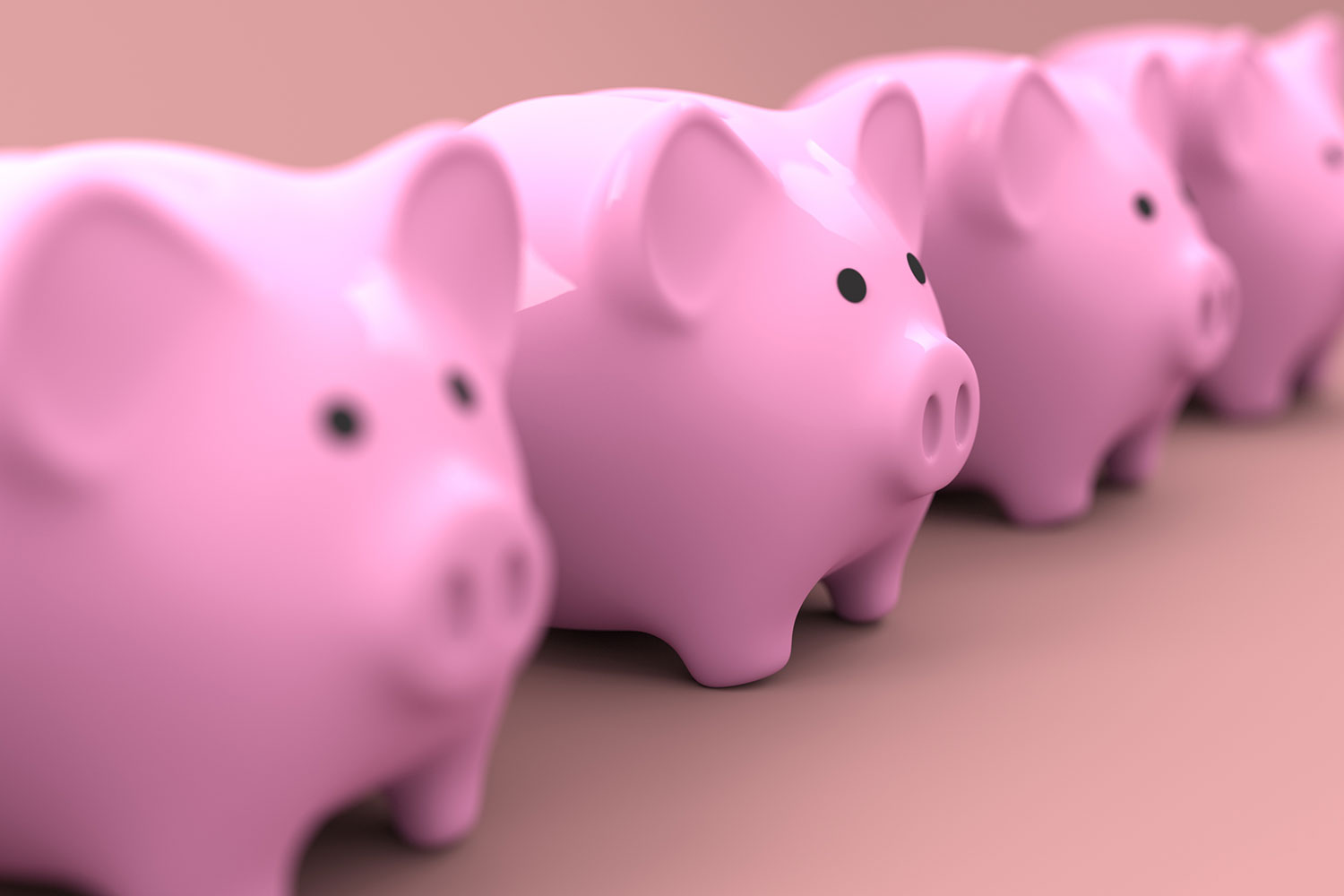 Pink piggy banks lined up in a row