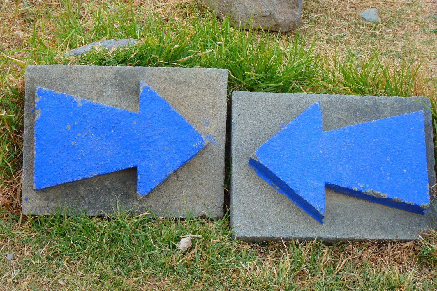 Scales representing conflicting evidence and conclusions